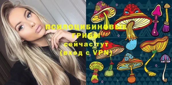 ешки Арсеньев