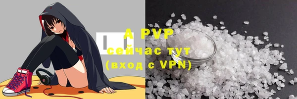 молекула духа Нефтекумск