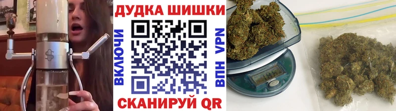 Купить где  Нефтегорск  Бошки марихуана конопля 